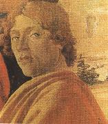 Young man in a Yellow mantle (mk36) Botticelli